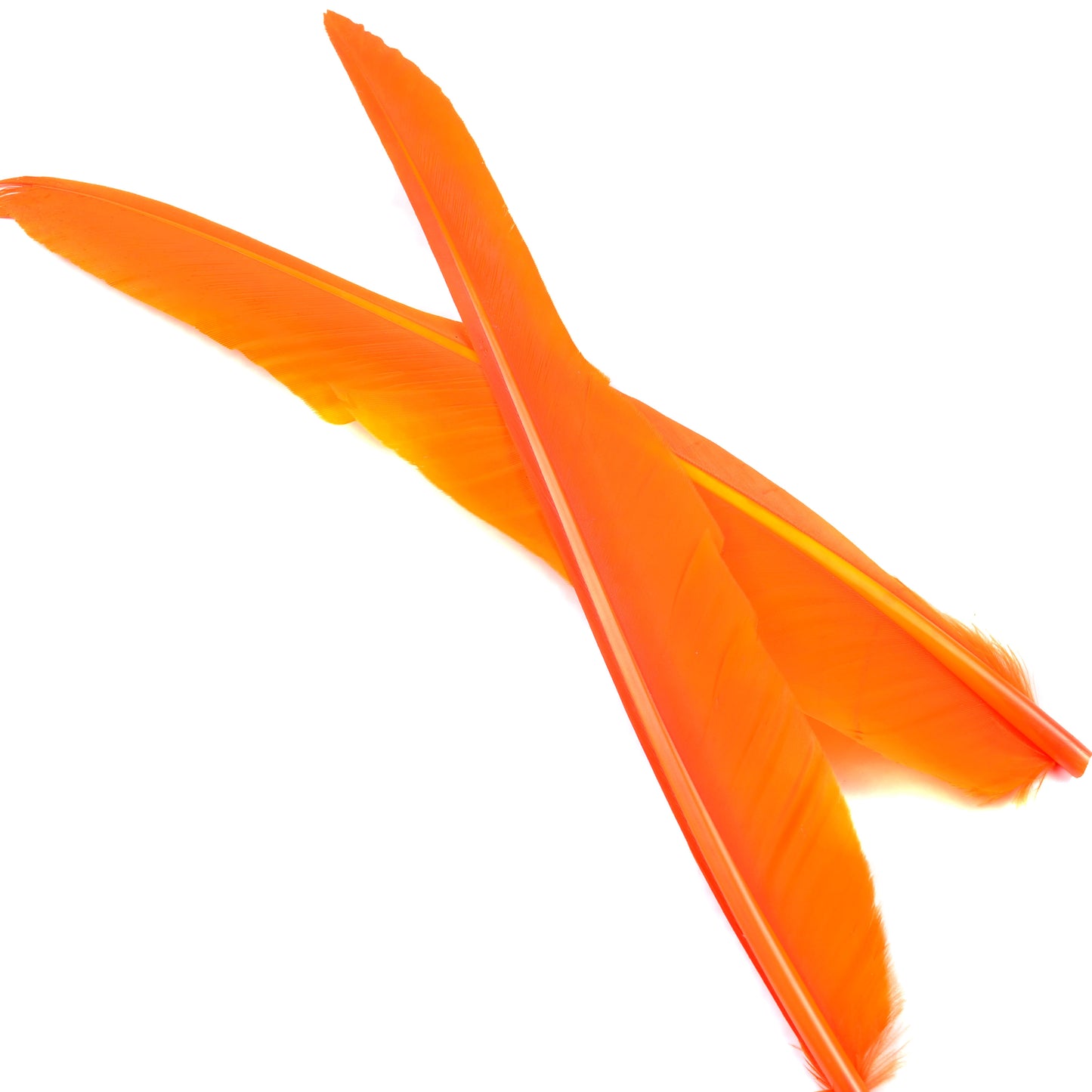 Goose Quills