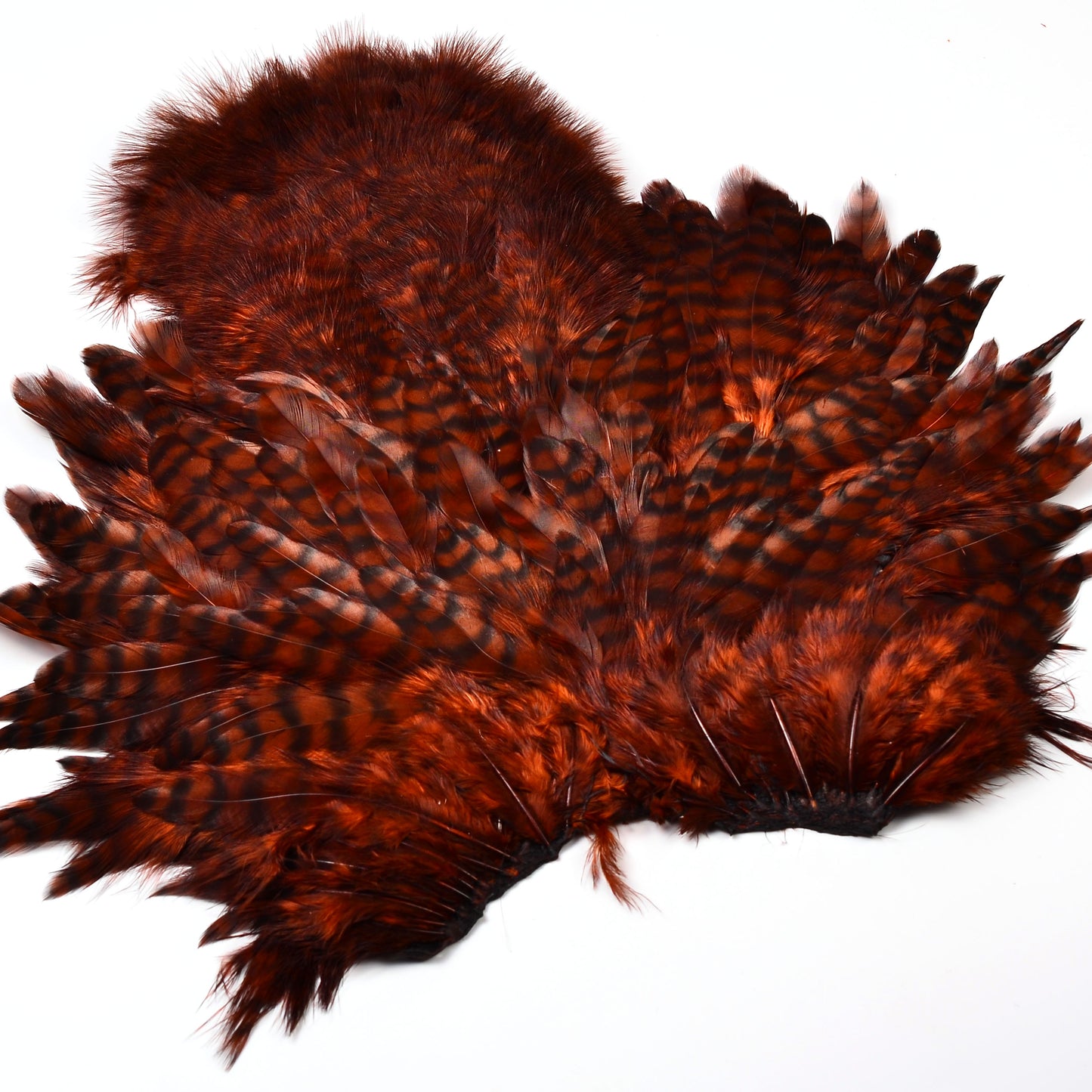 Whiting Rooster Soft Hackle with Chickabou