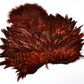 Whiting Rooster Soft Hackle with Chickabou