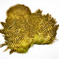 Whiting Rooster Soft Hackle with Chickabou