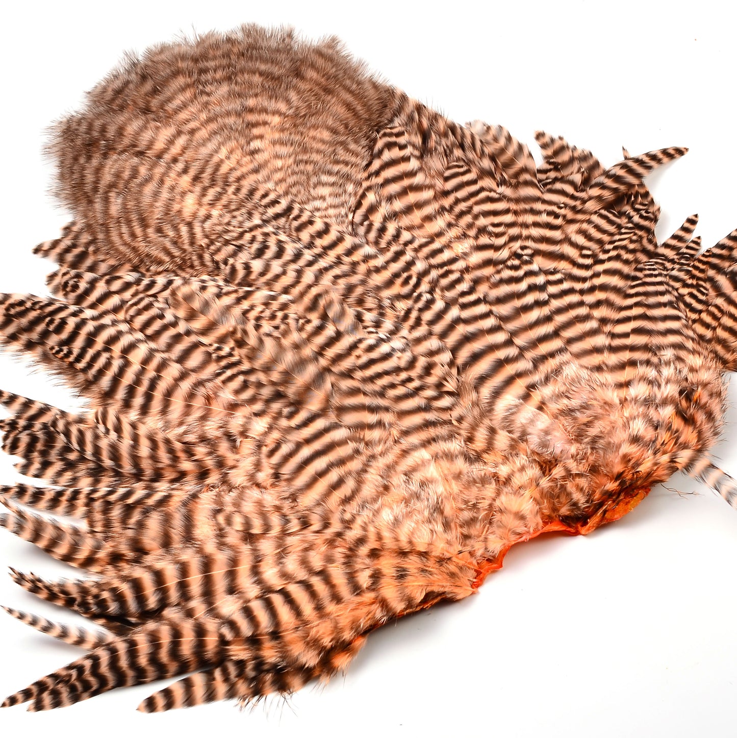 Whiting Rooster Soft Hackle with Chickabou