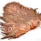 Whiting Rooster Soft Hackle with Chickabou
