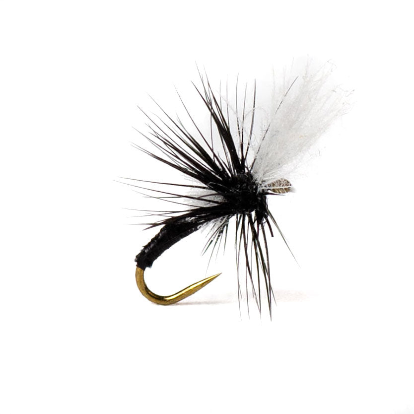 Hanging Midge