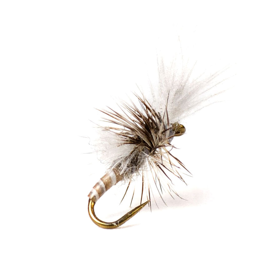 Hanging Midge