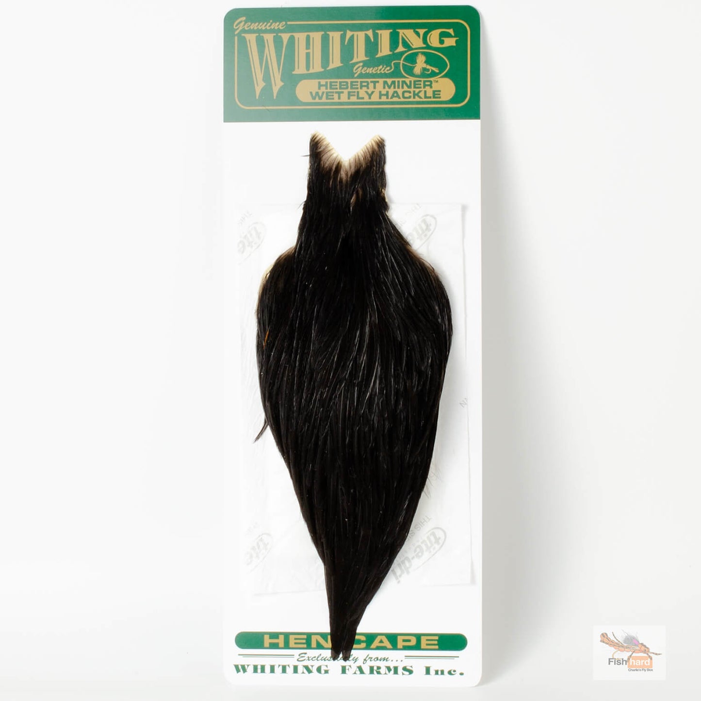 Whiting/Hebert Hen Cape