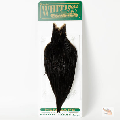 Whiting/Hebert Hen Cape