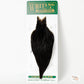 Whiting/Hebert Hen Cape