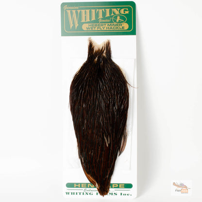 Whiting/Hebert Hen Cape