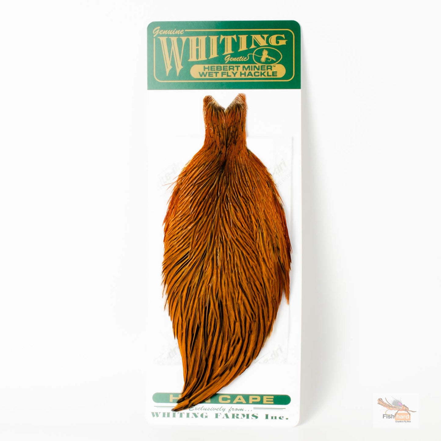 Whiting/Hebert Hen Cape
