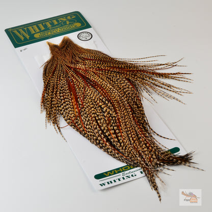 Hebert Silver Grade Cree Cape