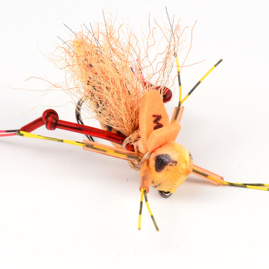 Henneberry-Tan