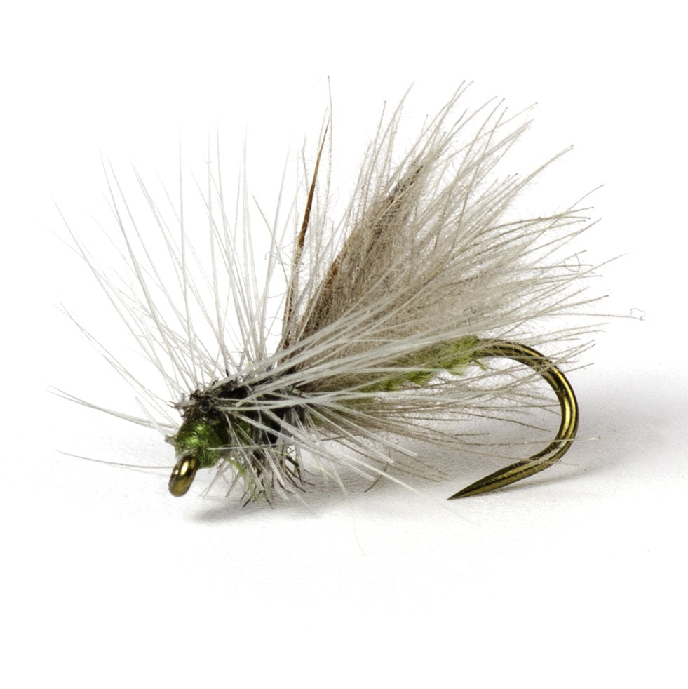 Henry's Fork Caddis, Harrop's