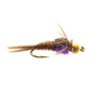 Hot Belly Pheasant Tail