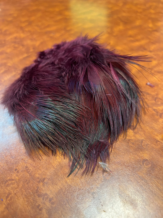 Ringneck Pheasant Strung Rump Hackle