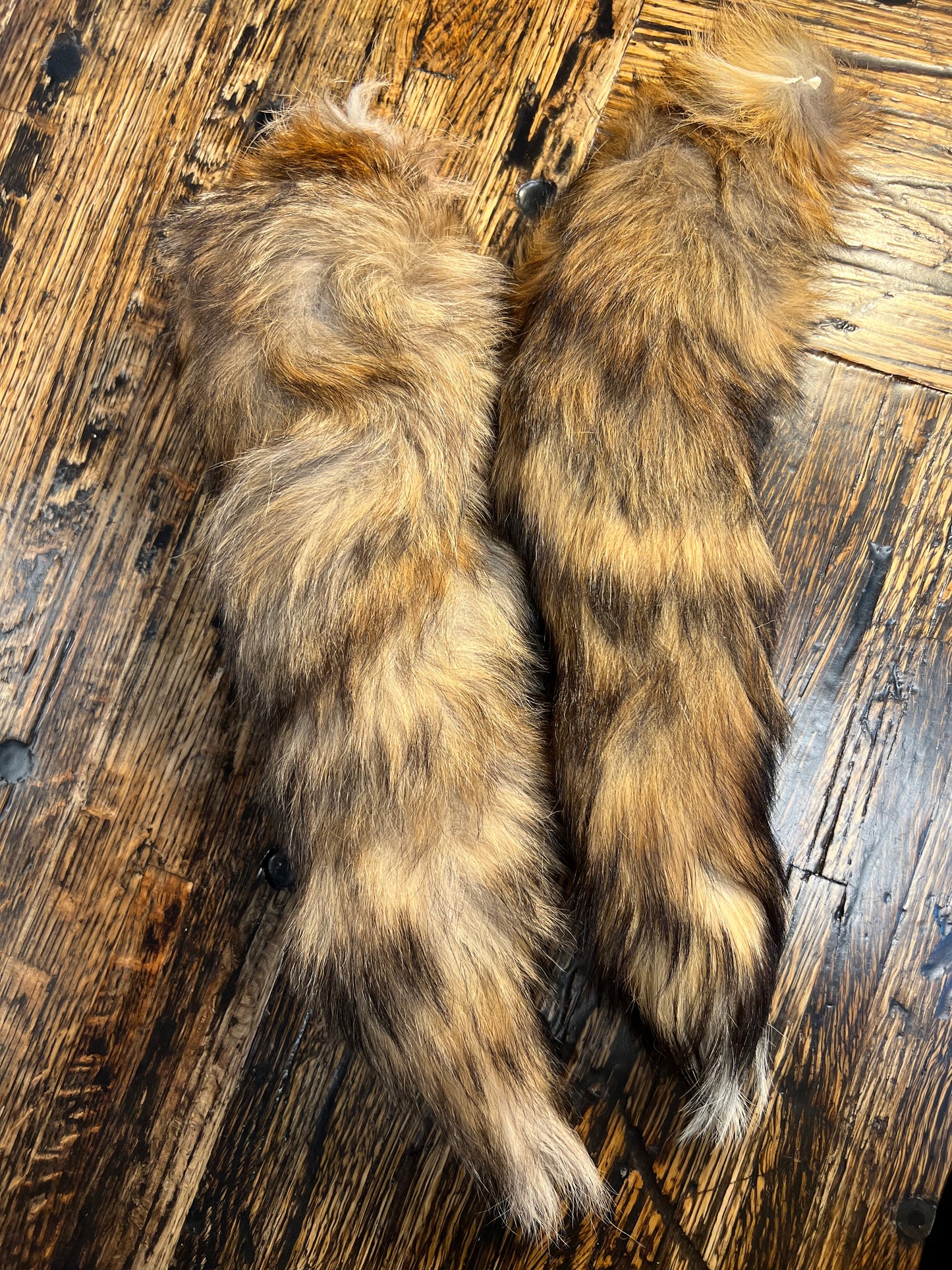 Red Fox Tails