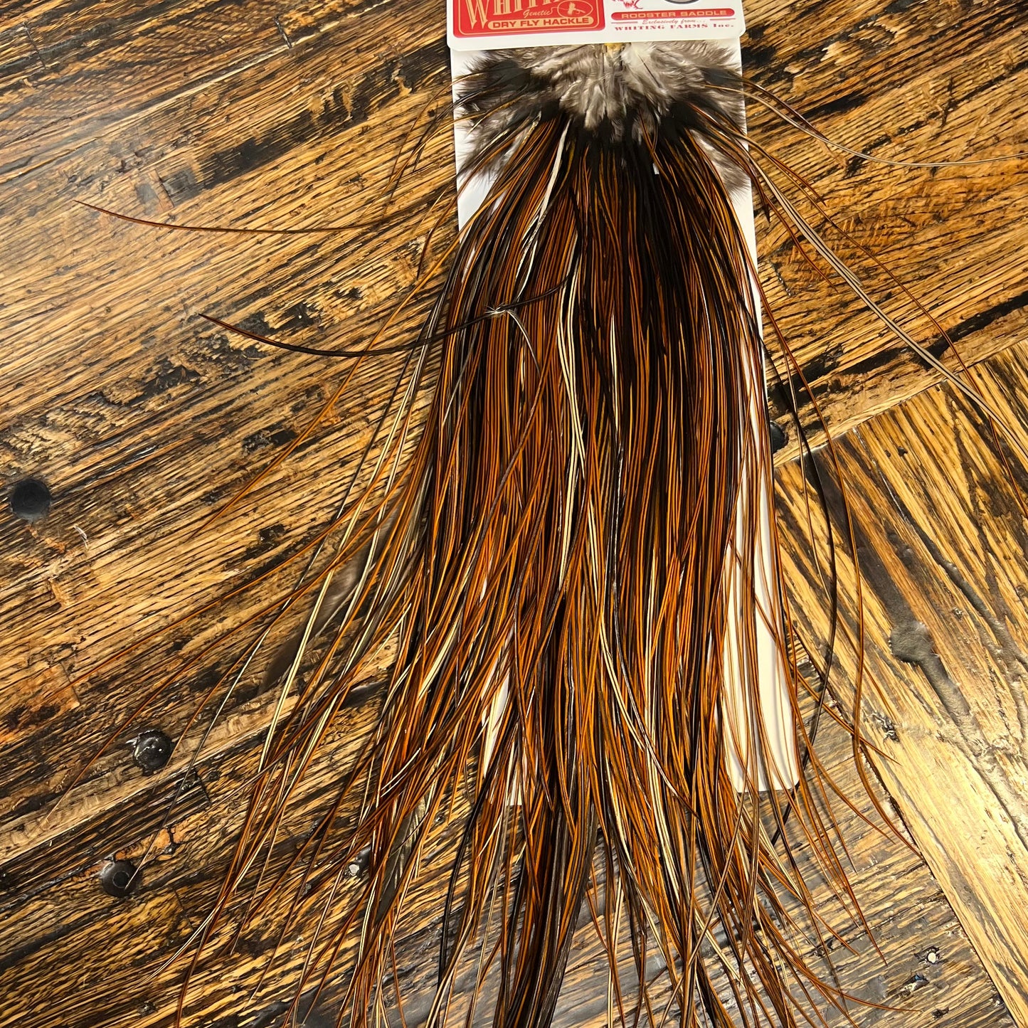 Whiting Bronze Grade Saddle, Furnace