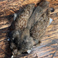 spent fly fishing hungarian partridge skin