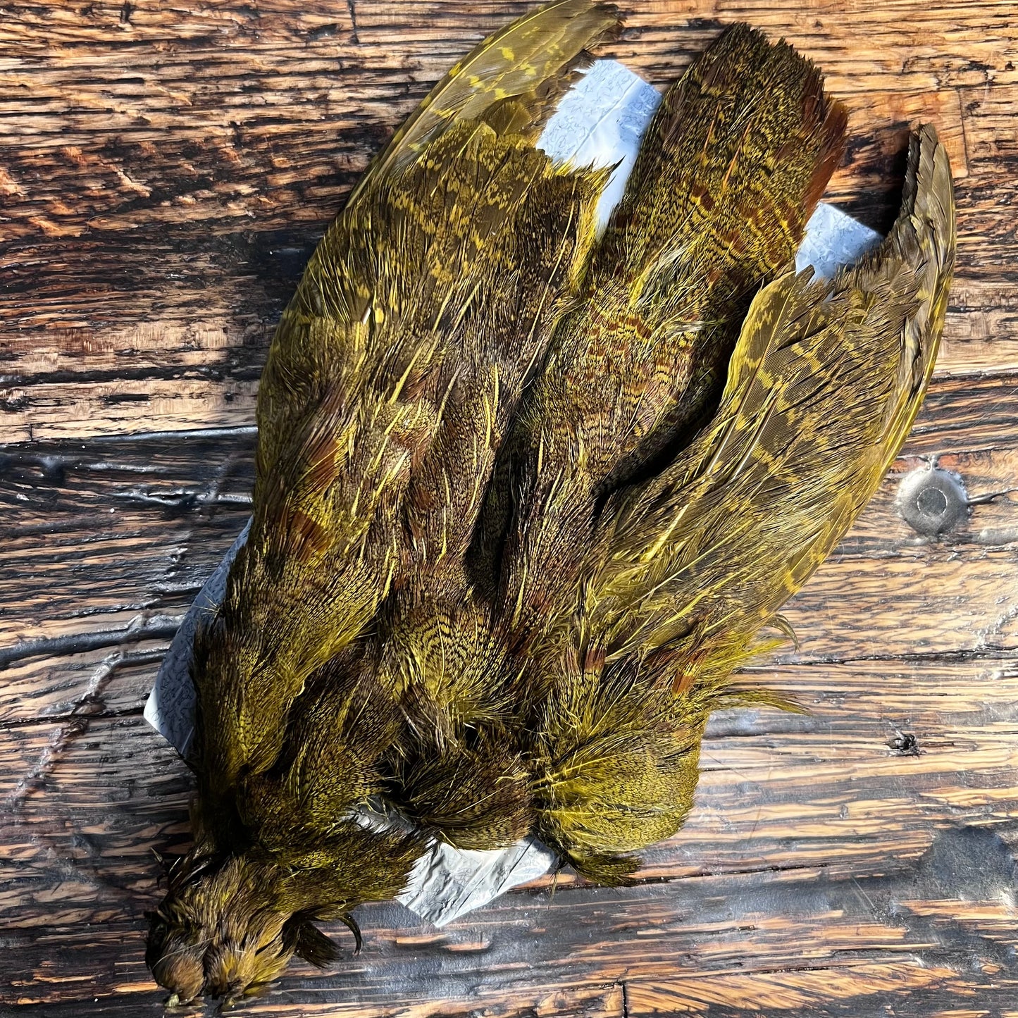 spent fly fishing hungarian partridge skin
