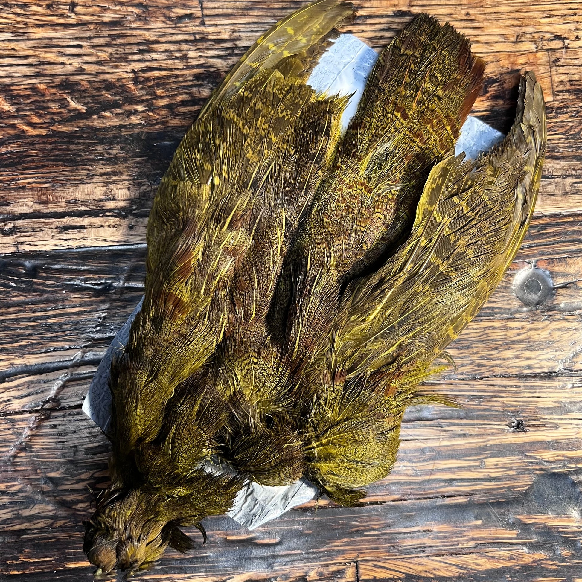 spent fly fishing hungarian partridge skin