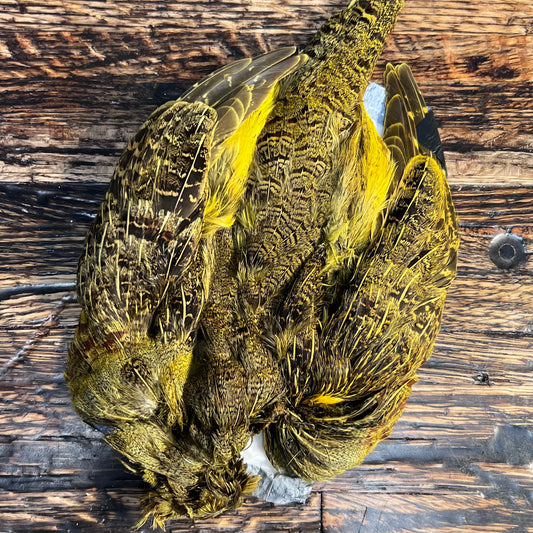 Spent Fly Fishing Dyed Hungarian Partridge Skin
