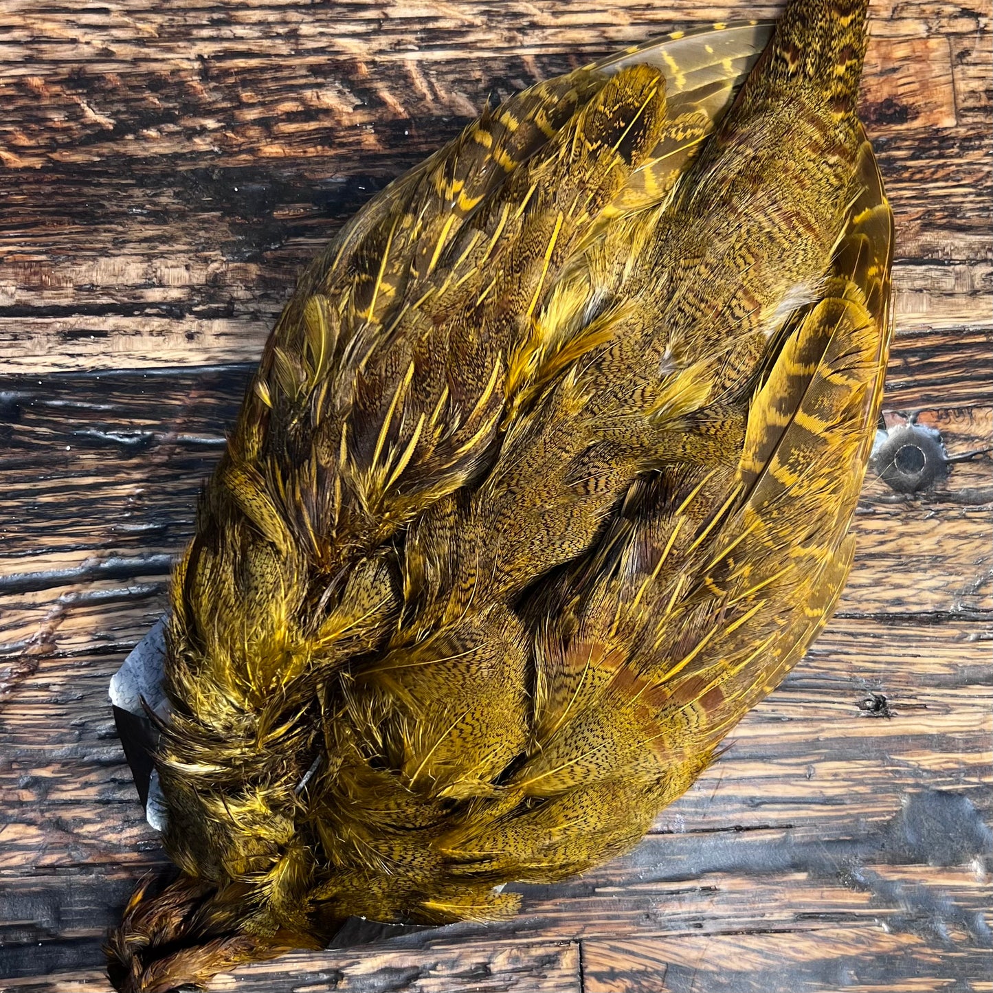spent fly fishing hungarian partridge skin