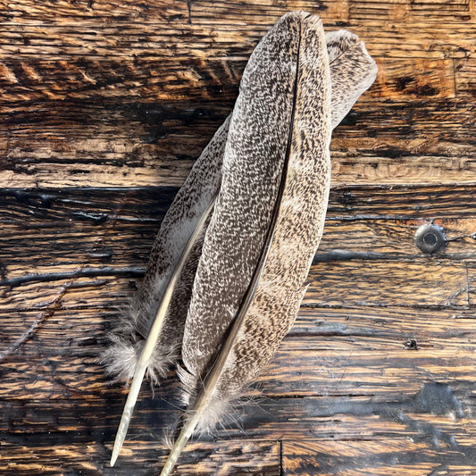 Spent Fly Fishing Mottled Ozark Oak Turkey Quills