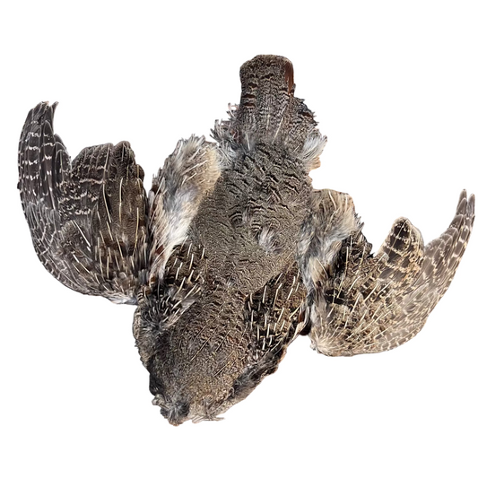 Spent Fly Fishing Rolled Hungarian Patridge Skin