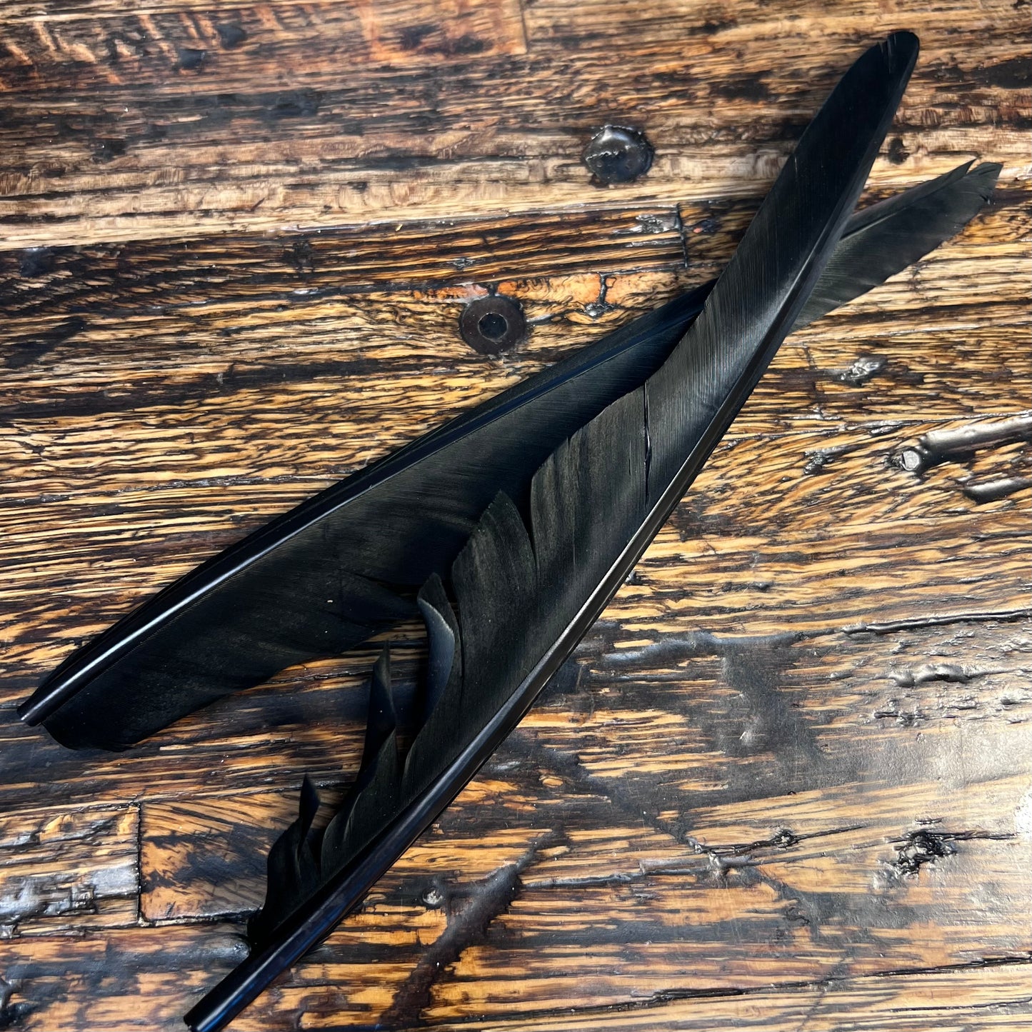spent fly fishing canada goose biot