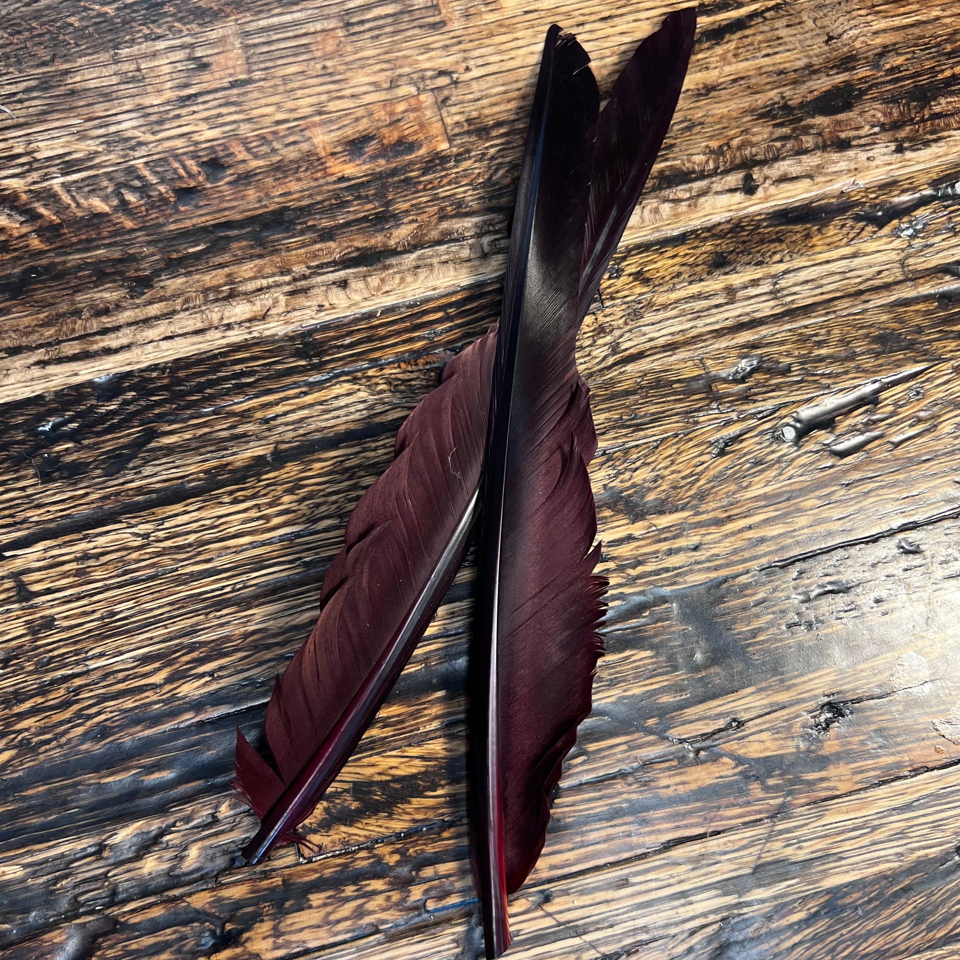 spent fly fishing canada goose biot
