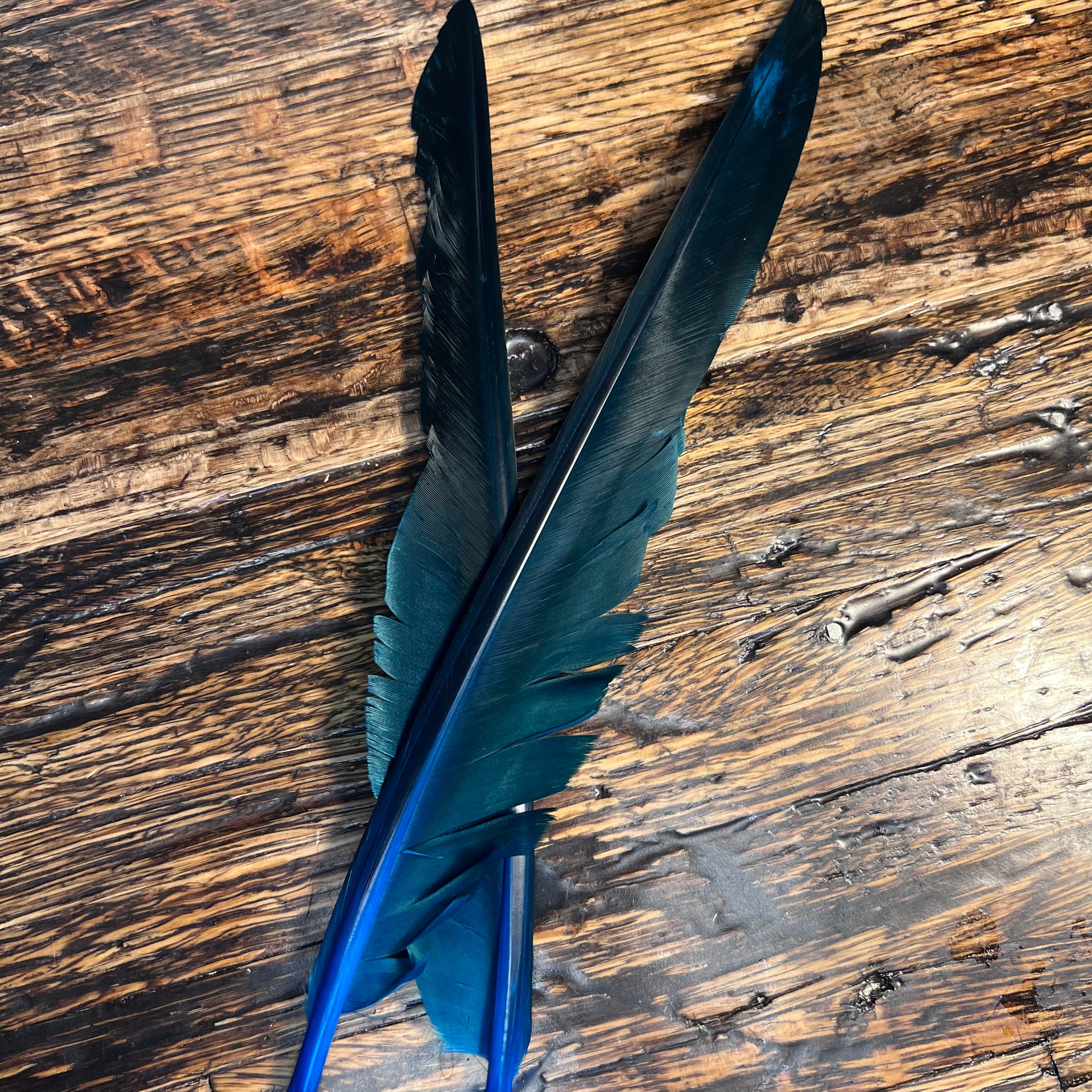 spent fly fishing canada goose biot