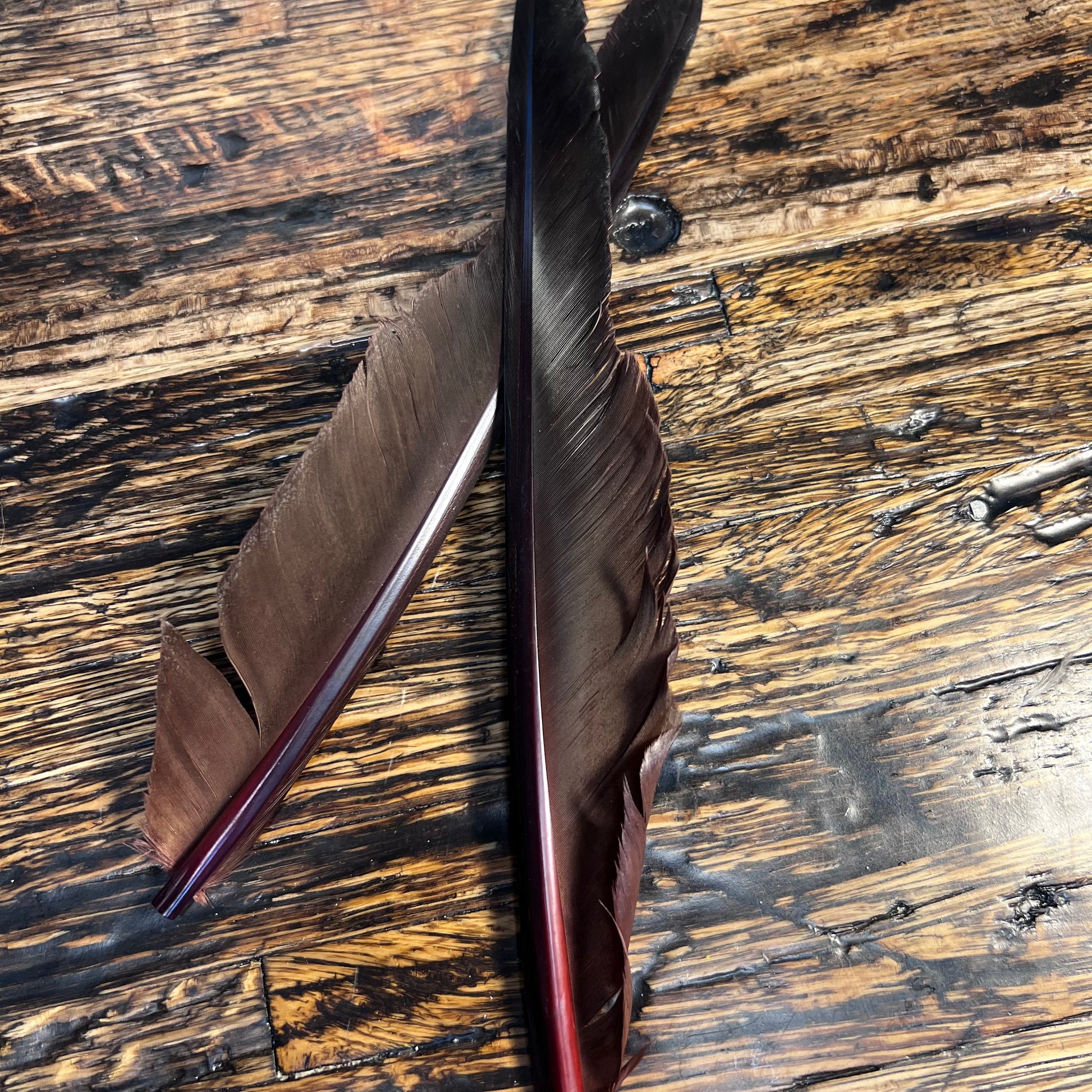 spent fly fishing canada goose biot