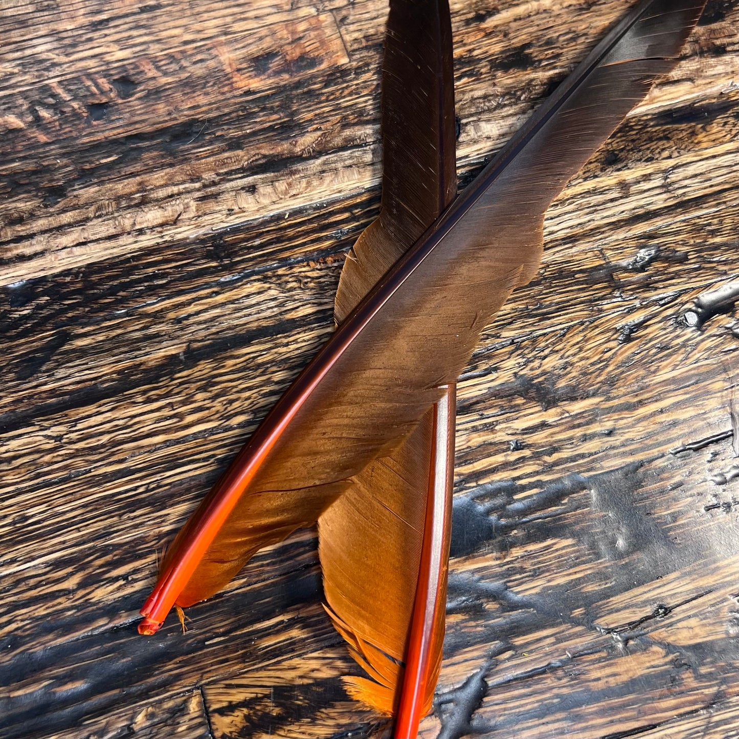 spent fly fishing canada goose biot
