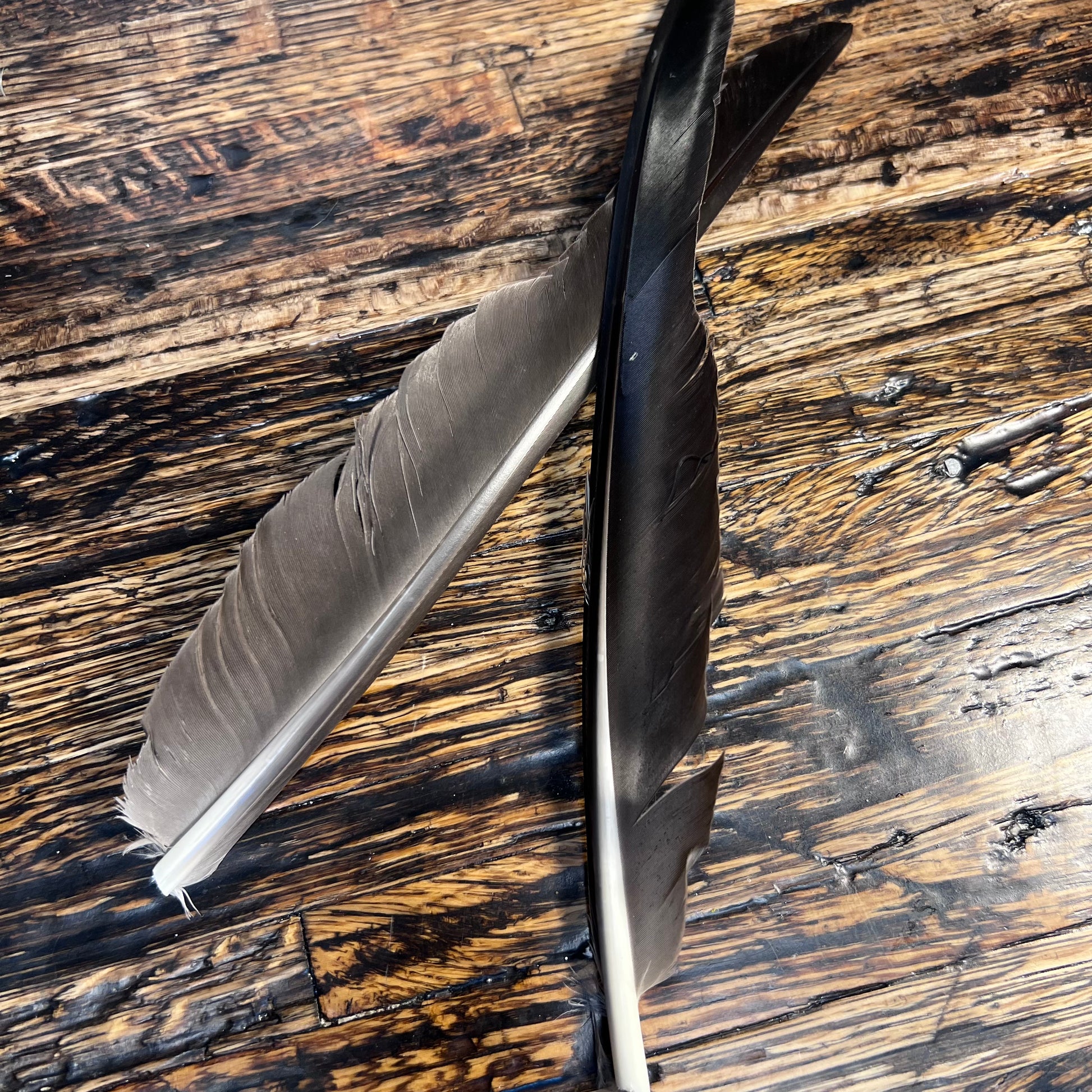 spent fly fishing canada goose biot