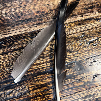 spent fly fishing canada goose biot