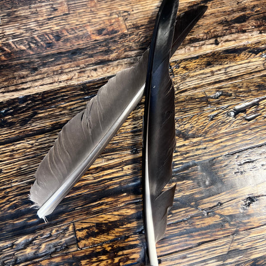 Spent Fly Fishing Canada Goose Biot