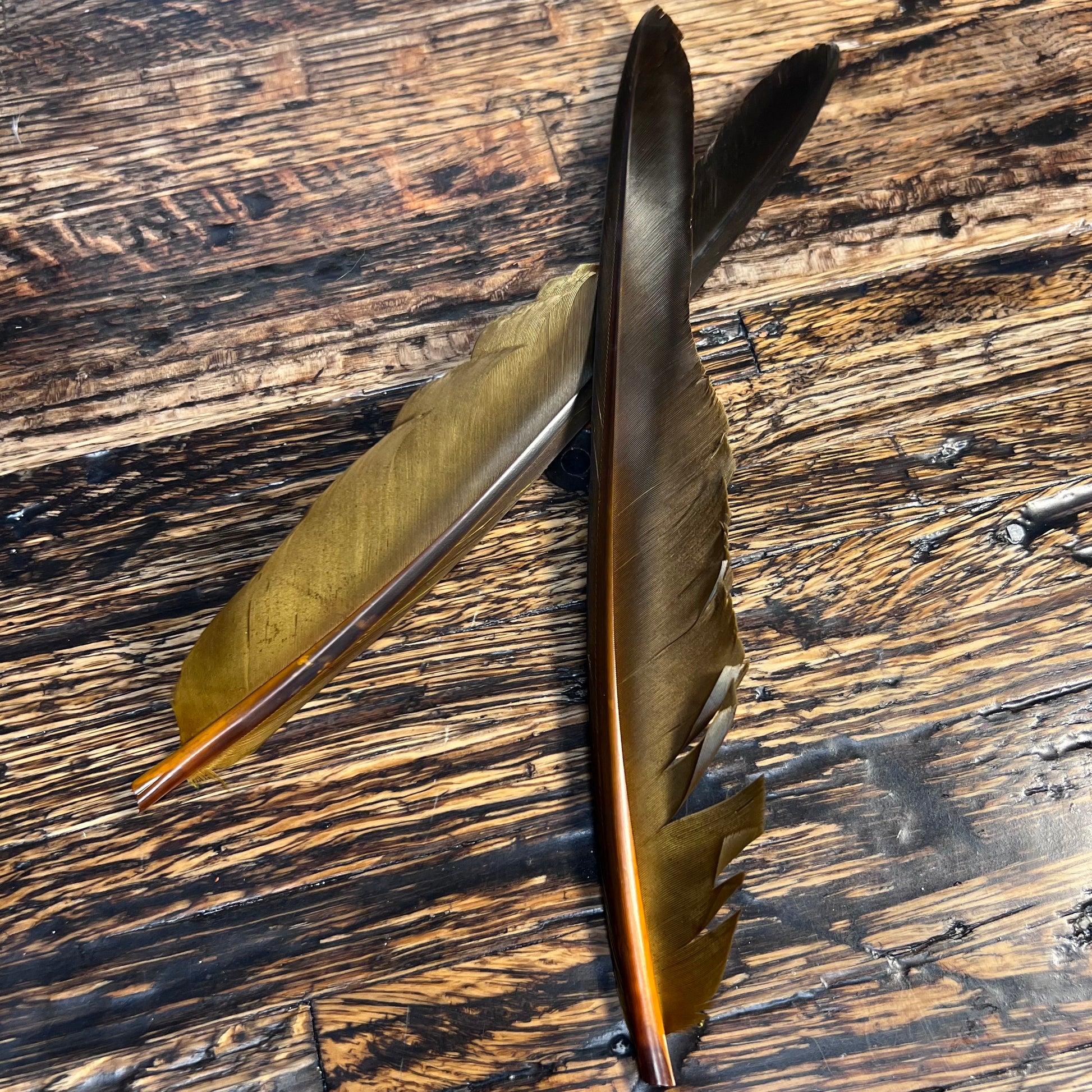 spent fly fishing canada goose biot