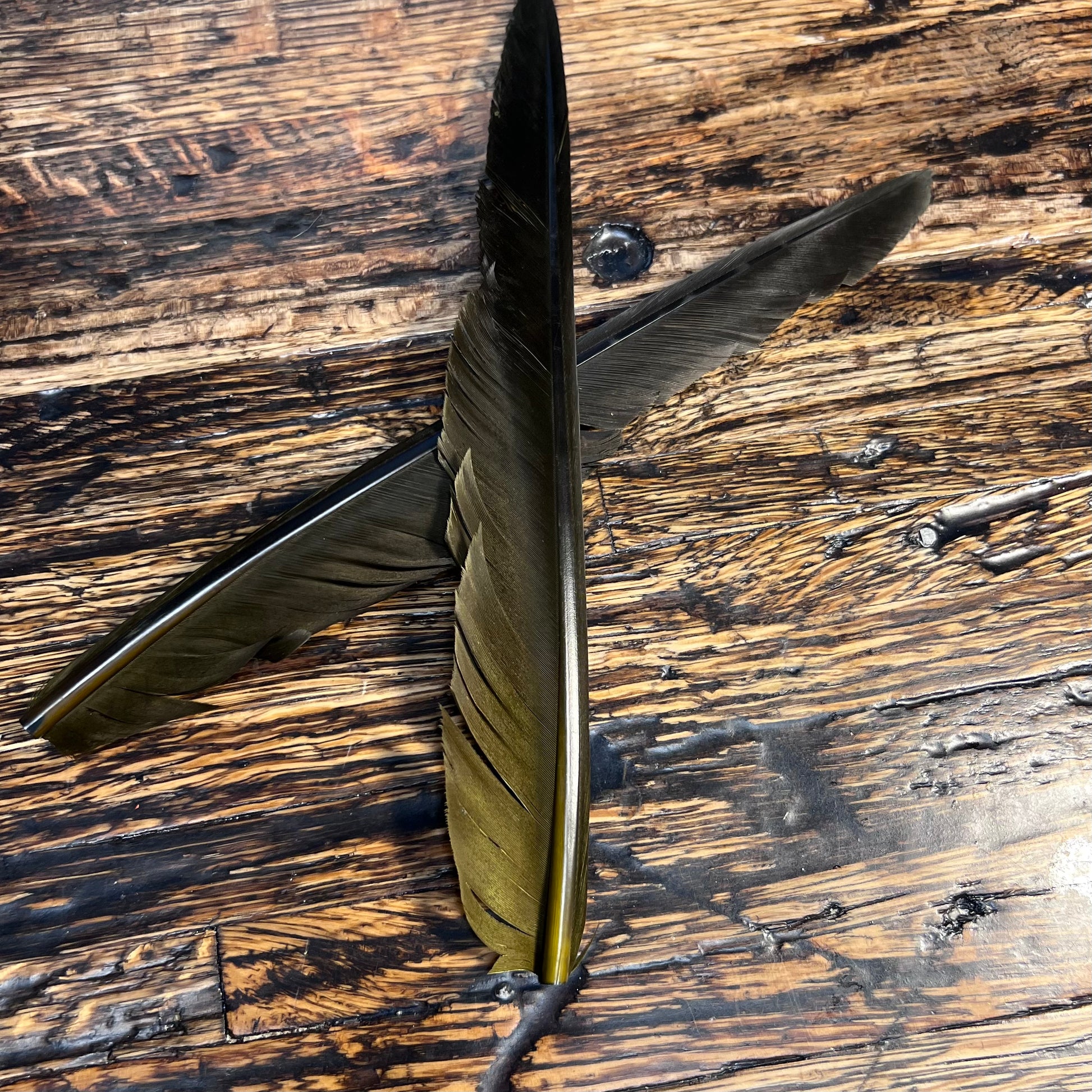 spent fly fishing canada goose biot