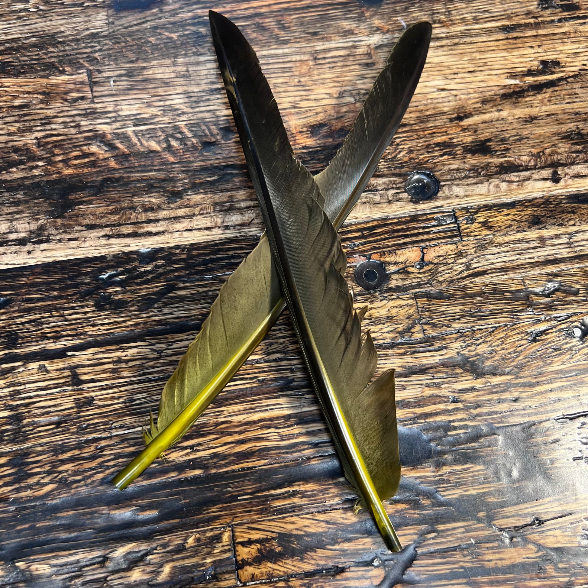 spent fly fishing canada goose biot
