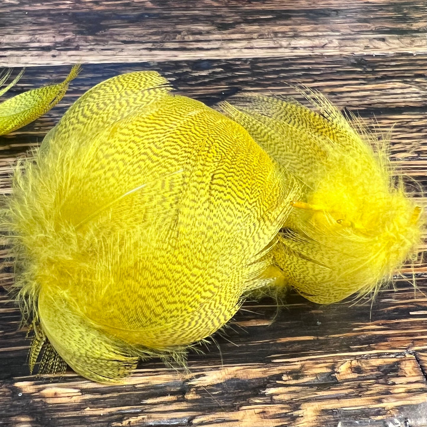 spent fly fishing mallard flank