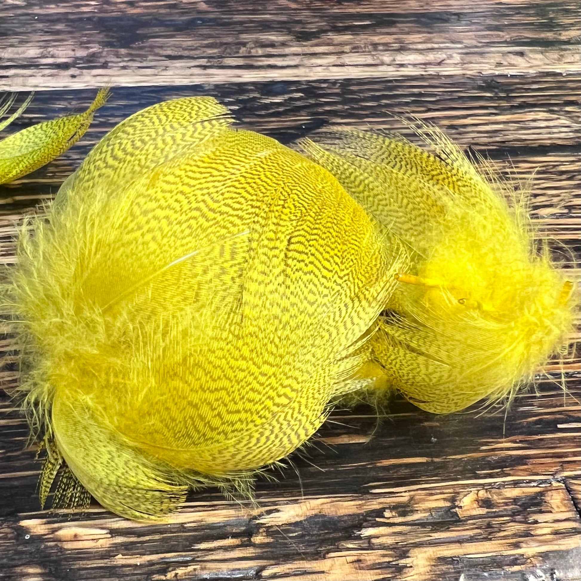 spent fly fishing mallard flank