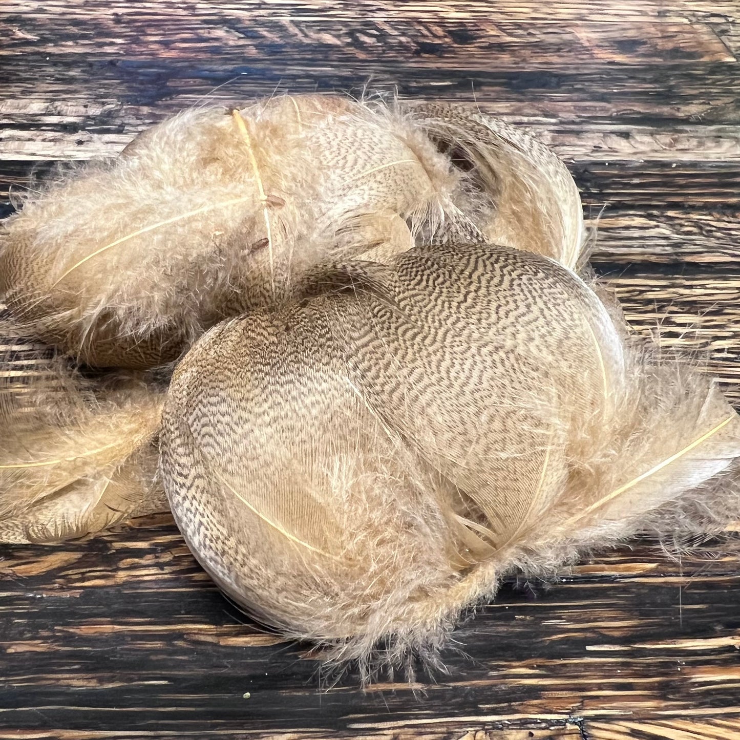 spent fly fishing mallard flank