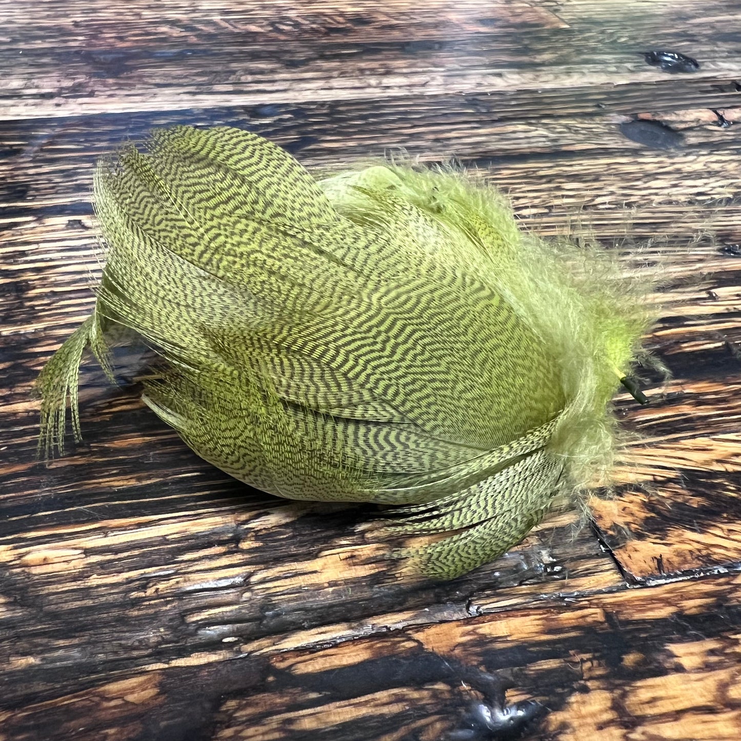 spent fly fishing mallard flank