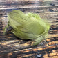 spent fly fishing mallard flank