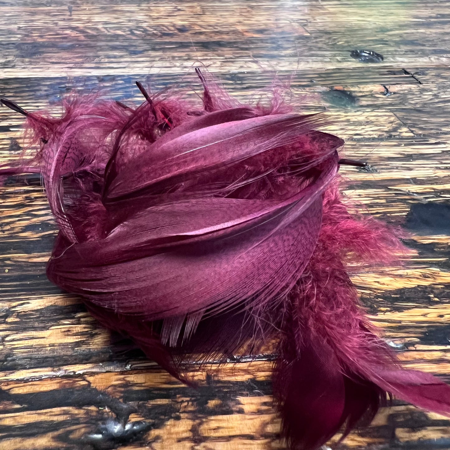 spent fly fishing mallard flank