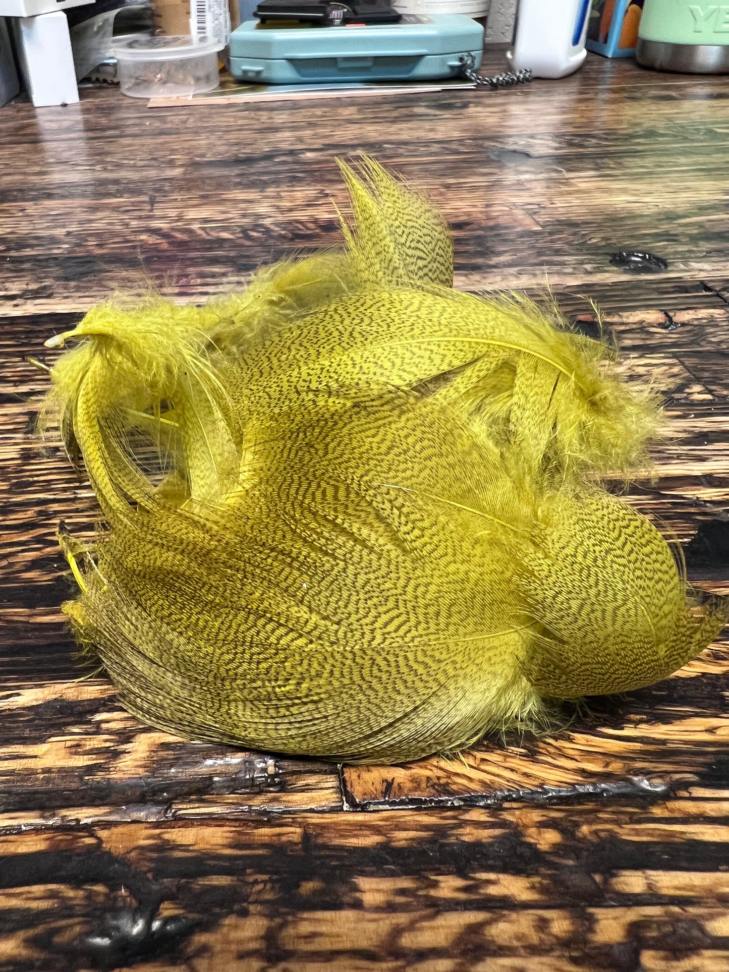 spent fly fishing mallard flank