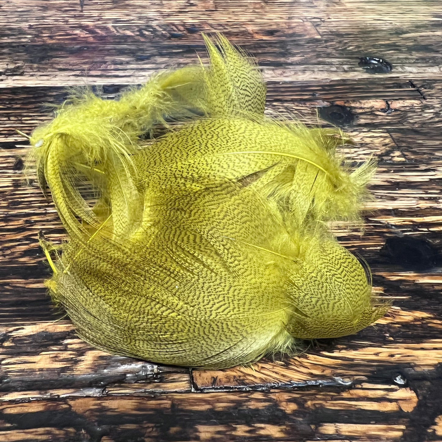 spent fly fishing mallard flank