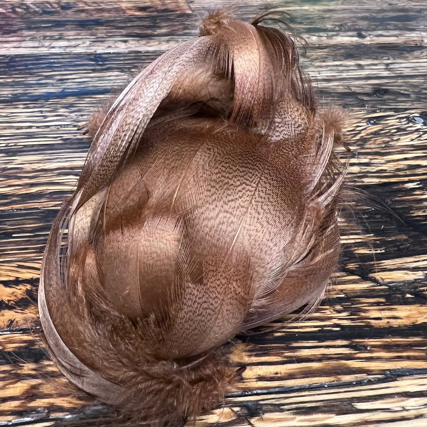 spent fly fishing mallard flank