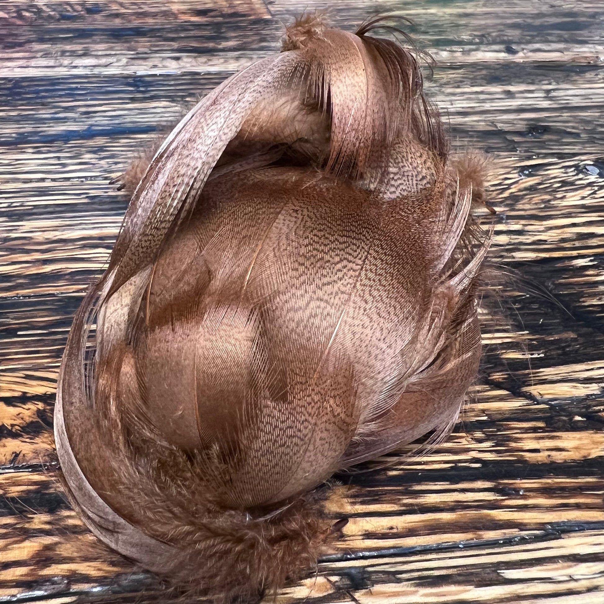 spent fly fishing mallard flank