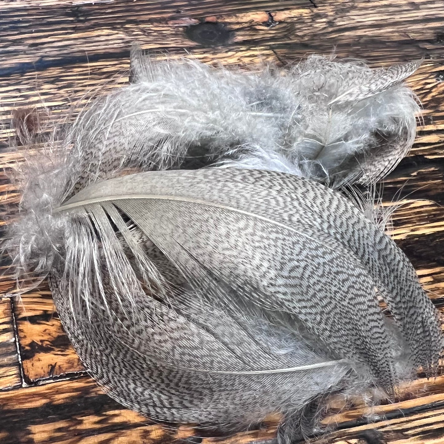 spent fly fishing mallard flank