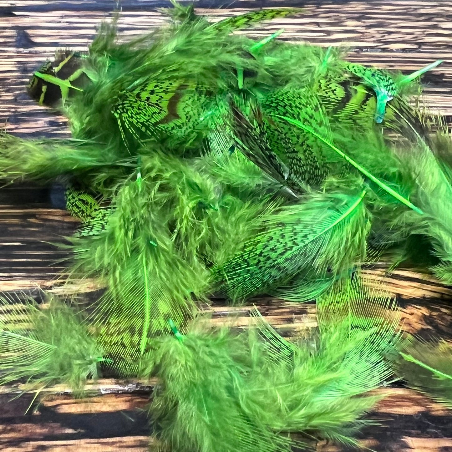 Spent Fly Fishing Hungarian Partridge Feathers